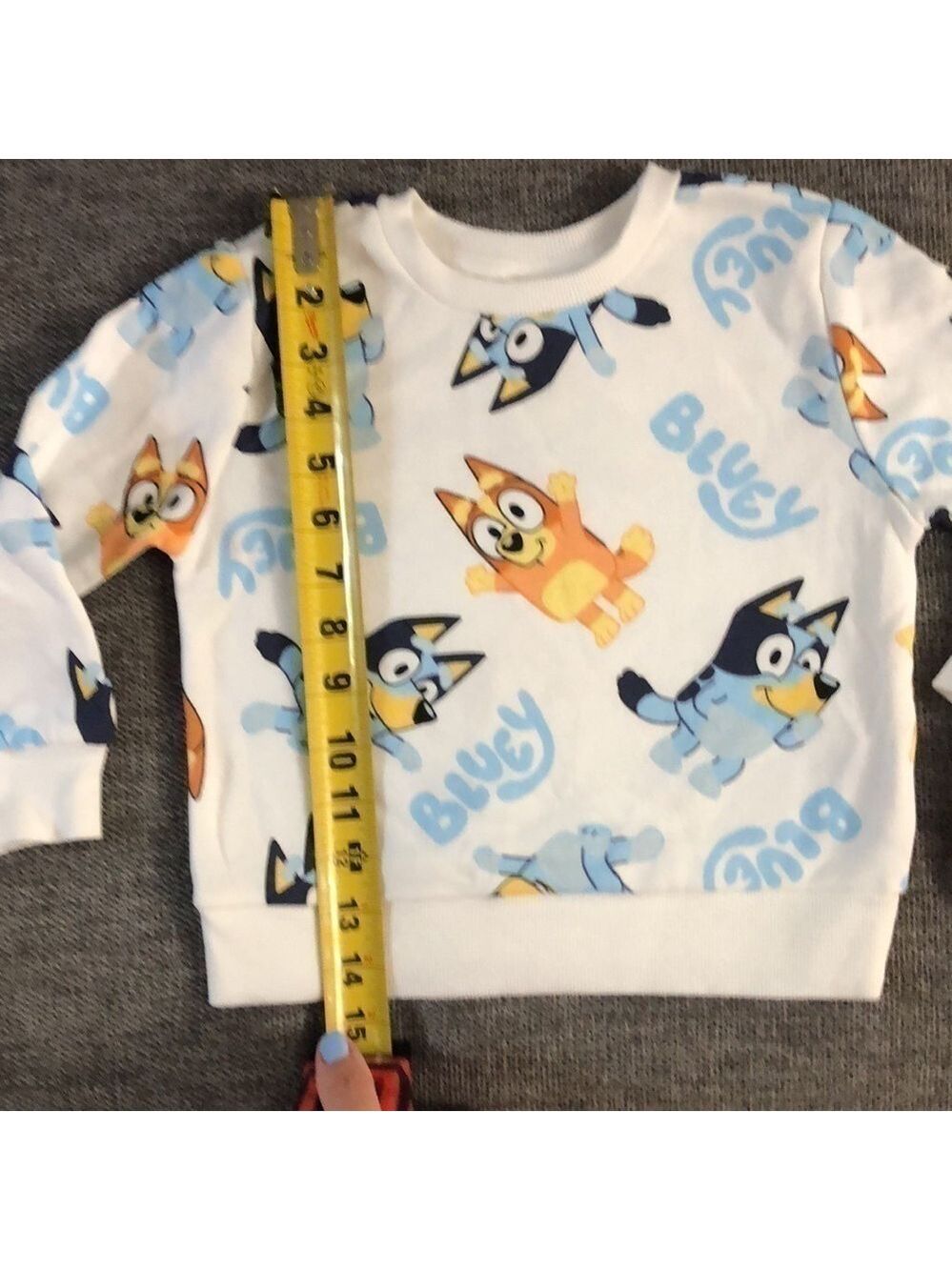Moose Bluey Bingo Long Toddler Boys Sleeve Pullover Sweatshirt White 2T - Picture 12 of 13